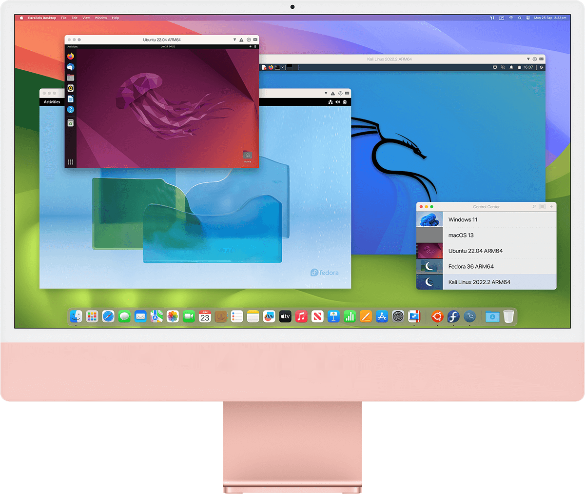 下载并运行各种现成的 Linux 发行版，学习计算机科学和软件工程。